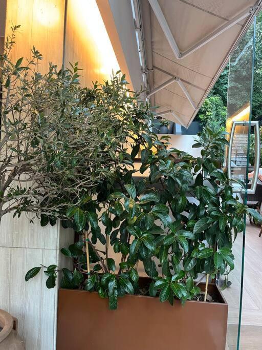 אתונה Ksenokratous-Kolonaki Cozy Apartment מראה חיצוני תמונה